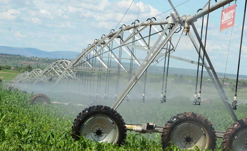 Jevinary Farm Overhead Irrigation